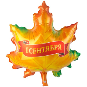 Школьная пора