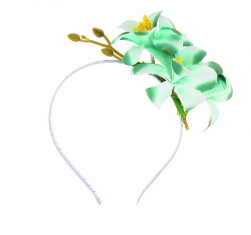 гавайский ободок редкость, китай